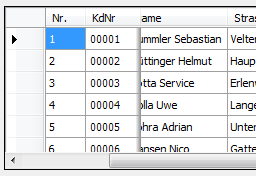 Fix-Columns im DataGridView hervorheben